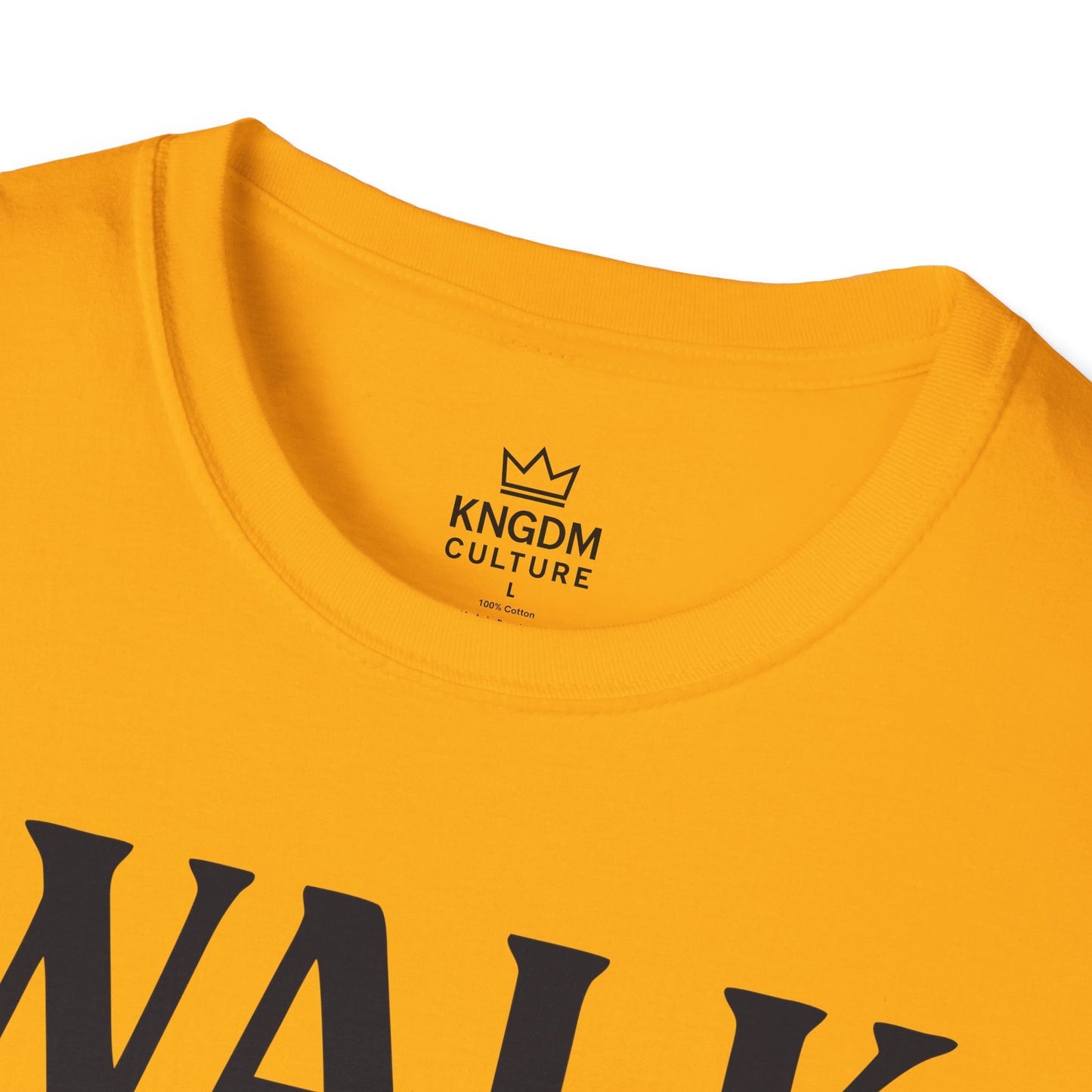 Walk by Faith T-Shirt
